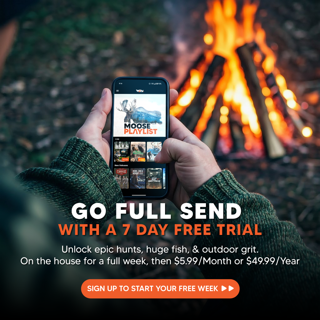 Start Your 7 Day Free Trial of Wild TV+